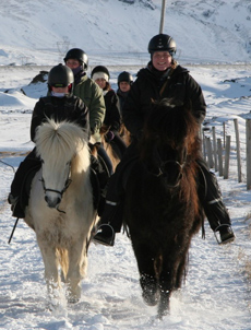 Voyage à cheval en ISLANDE - Randonnée équestre organisée par Randocheval