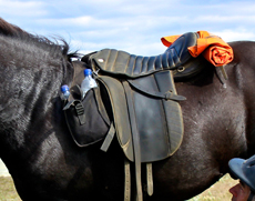 Voyage à cheval en ISLANDE - Randonnée équestre organisée par Randocheval