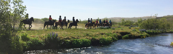 Voyage à cheval en ISLANDE - Randonnée équestre organisée par Randocheval