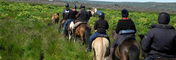 Voyage à cheval en ISLANDE - Randonnée équestre organisée par Randocheval