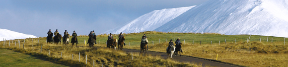 Voyage à cheval en ISLANDE - Randonnée équestre organisée par Randocheval