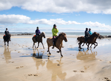 Voyage à cheval en ISLANDE - Randonnée équestre organisée par Randocheval