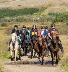 Voyage à cheval en ISLANDE - Randonnée équestre organisée par Randocheval