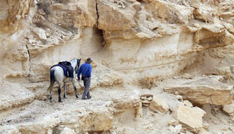 Randonnée équestre en Israël - RANDOCHEVAL