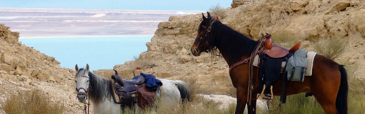 Voyage à cheval - Randonnée équestre organisée par Randocheval