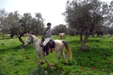 Rando Cheval - Voyage à cheval