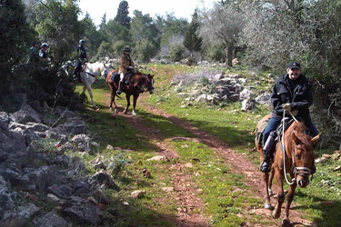 Rando Cheval - Voyage à cheval