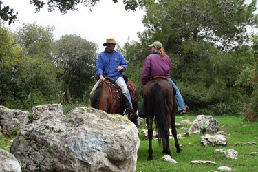 Rando Cheval - Voyage à cheval