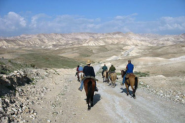 Rando Cheval - Voyage à cheval