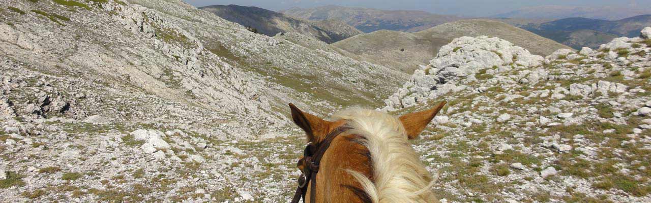 Voyage à cheval - Randonnée équestre organisée par Randocheval