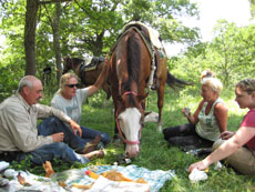 Italie - Randonnée équestre dans les Abruzzes - RANDO CHEVAL