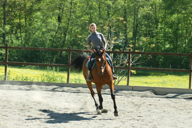 Voyage à cheval en Toscane dans la vallée du Chianti - Randonnée équestre organisée par Randocheval