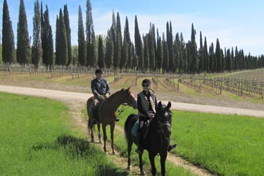 Voyage à cheval en Toscane dans la vallée du Chianti - Randonnée équestre organisée par Randocheval