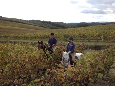 Voyage à cheval en Toscane dans la vallée du Chianti - Randonnée équestre organisée par Randocheval