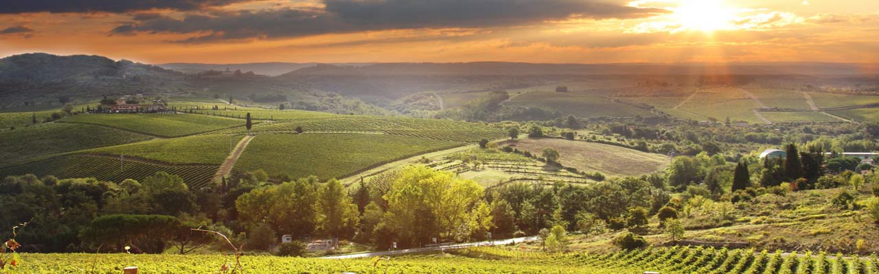 Voyage à cheval en Toscane dans la vallée du Chianti - Randonnée équestre organisée par Randocheval