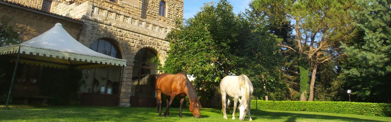 Voyage à cheval en Toscane - Randonnée équestre et séjour dans un château organisée par Randocheval