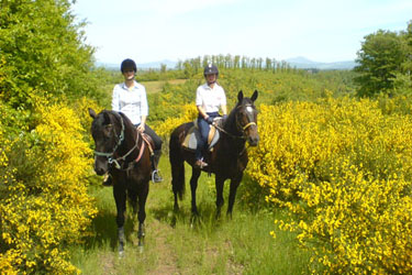 Voyage à cheval en Toscane - Randonnée équestre et séjour dans un château organisée par Randocheval