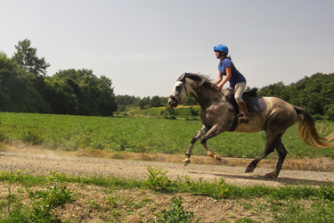 Voyage à cheval en Toscane - Randonnée équestre et séjour dans un château organisée par Randocheval