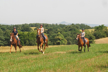 Voyage à cheval en Toscane - Randonnée équestre et séjour dans un château organisée par Randocheval