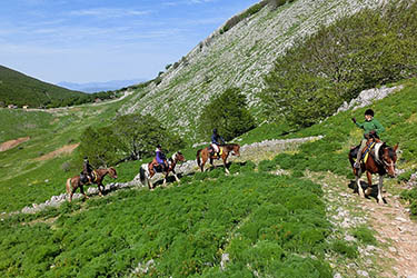 Voyage et aventure à cheval en Sicile - Randonnée équestre en Italie organisée par Randocheval