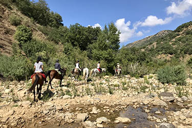 Voyage et aventure à cheval en Sicile - Randonnée équestre en Italie organisée par Randocheval