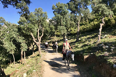 Voyage et aventure à cheval en Sicile - Randonnée équestre en Italie organisée par Randocheval