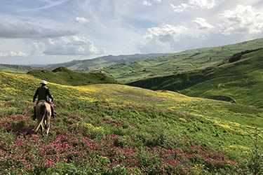 Voyage et aventure à cheval en Sicile - Randonnée équestre en Italie organisée par Randocheval