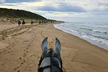 Voyage et aventure à cheval en Sicile - Randonnée équestre en Italie organisée par Randocheval