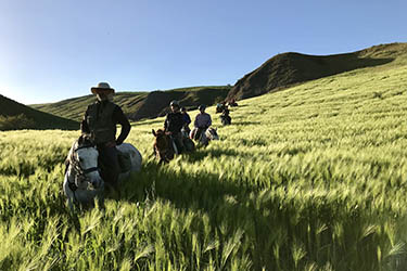 Voyage et aventure à cheval en Sicile - Randonnée équestre en Italie organisée par Randocheval