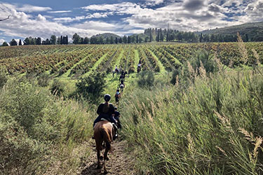 Voyage et aventure à cheval en Sicile - Randonnée équestre en Italie organisée par Randocheval