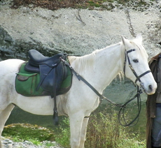 Voyage et aventure à cheval en Sicile - Randonnée équestre en Italie organisée par Randocheval