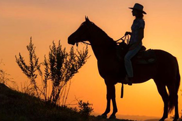 Voyage à cheval en Toscane - Randonnée équestre organisée par Randocheval en Toscane