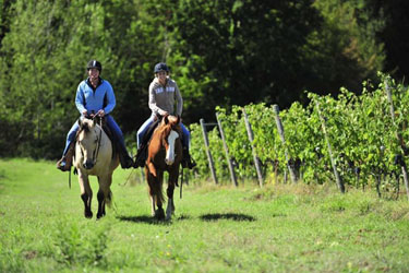 Voyage à cheval en Toscane - Randonnée équestre organisée par Randocheval en Toscane