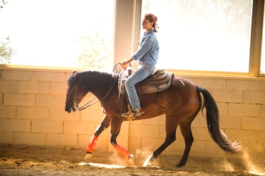 Voyage à cheval en Toscane - Randonnée équestre organisée par Randocheval en Toscane