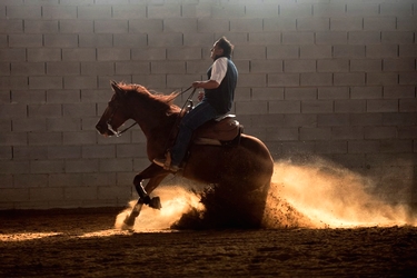 Voyage à cheval en Toscane - Randonnée équestre organisée par Randocheval en Toscane