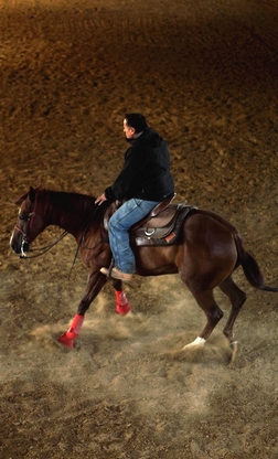 Voyage à cheval en Toscane - Randonnée équestre organisée par Randocheval en Toscane