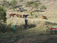 Album photos de notre randonnée - safari à cheval au Kenya sur le plateau de Laïkipia - Rando Cheval / Absolu Voyages