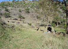 Album photos de notre randonnée - safari à cheval au Kenya sur le plateau de Laïkipia - Rando Cheval / Absolu Voyages