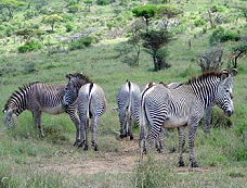 Album photos de notre randonnée - safari à cheval au Kenya sur le plateau de Laïkipia - Rando Cheval / Absolu Voyages