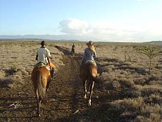 Album photos de notre randonnée - safari à cheval au Kenya sur le plateau de Laïkipia - Rando Cheval / Absolu Voyages