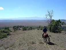 Album photos de notre randonnée - safari à cheval au Kenya sur le plateau de Laïkipia - Rando Cheval / Absolu Voyages