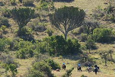 Album photos de notre randonnée - safari à cheval au Kenya sur le plateau de Laïkipia - Rando Cheval / Absolu Voyages