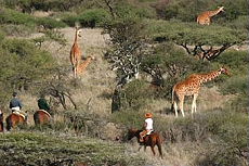 Album photos de notre randonnée - safari à cheval au Kenya sur le plateau de Laïkipia - Rando Cheval / Absolu Voyages
