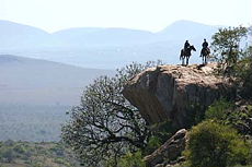 Album photos de notre randonnée - safari à cheval au Kenya sur le plateau de Laïkipia - Rando Cheval / Absolu Voyages