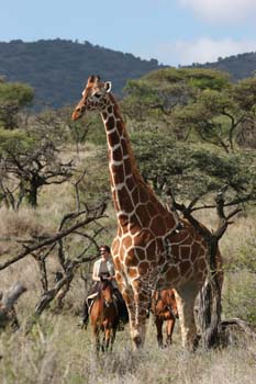 Album photos de notre randonnée - safari à cheval au Kenya sur le plateau de Laïkipia - Rando Cheval / Absolu Voyages