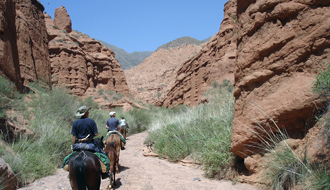 Randonnées équestres et voyages à cheval en Kirghizie - Randocheval / Absolu Voyage