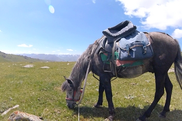 Rando Cheval - Voyage à cheval