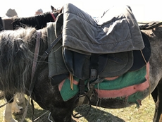 maitrise de son cheval