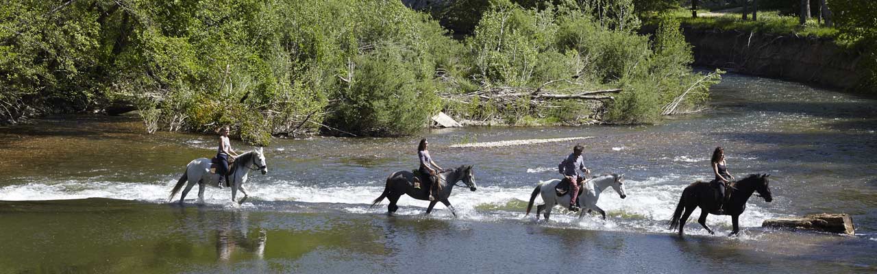 Voyage à cheval - Randonnée équestre organisée par Randocheval