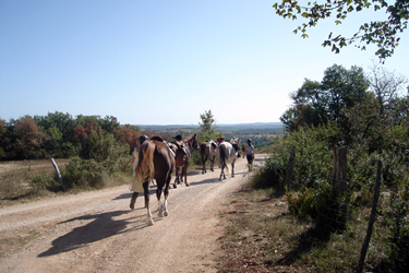 Rando Cheval - Voyage à cheval